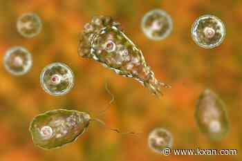 North Carolina teen dies of brain-eating amoeba infection