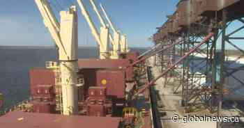 Port of Churchill resumes grain shipments for 1st time in 6 years