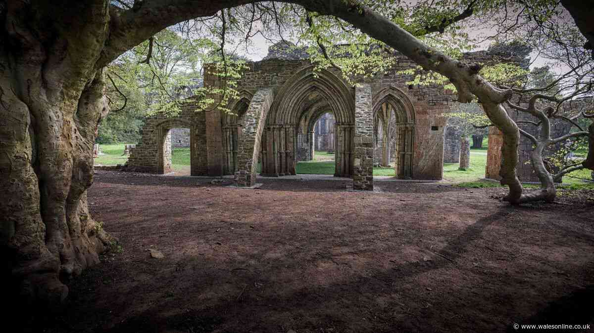 Sprawling Welsh estate with gothic castle and fairytale village ideal for an autumn day out