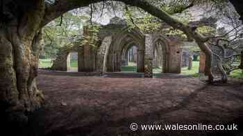 Sprawling Welsh estate with gothic castle and fairytale village ideal for an autumn day out
