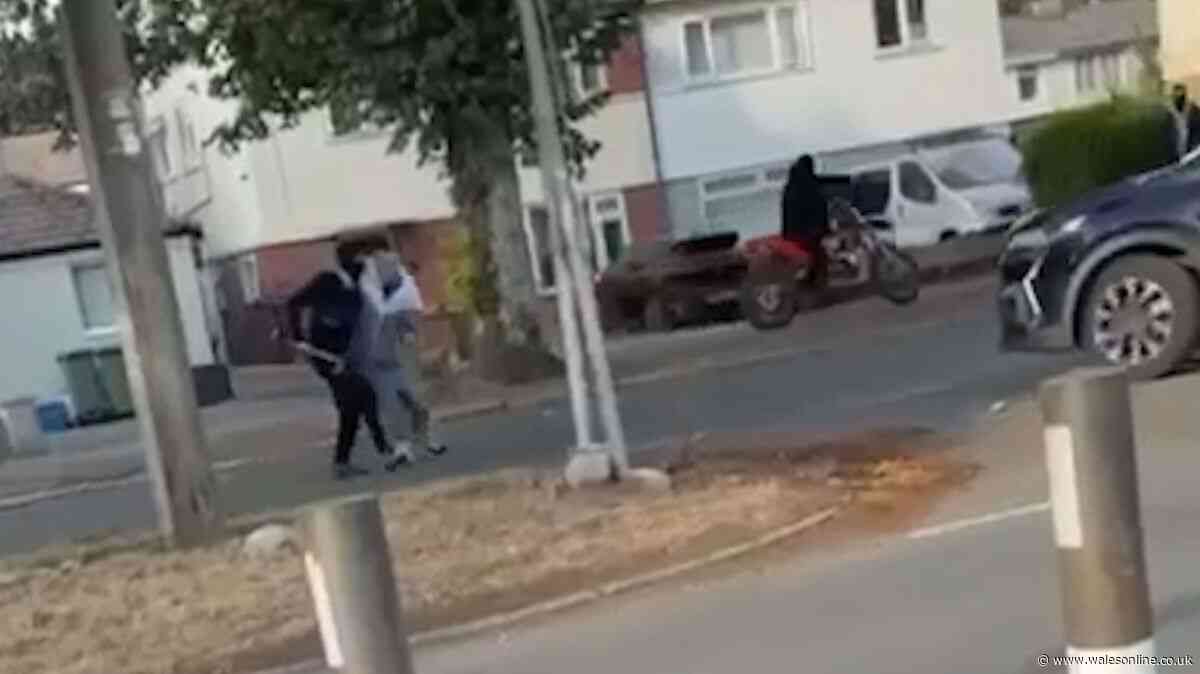 Terrifying incident as masked biker brandishes weapon on Cardiff street