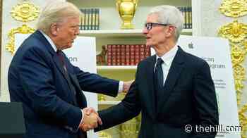 Tim Cook hands over reins of Apple, but remains Trump whisperer