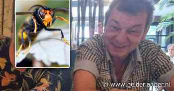 Belgische man (60) die na aanval door Aziatische hoornaars hersendood was verklaard, is in ziekenhuis overleden