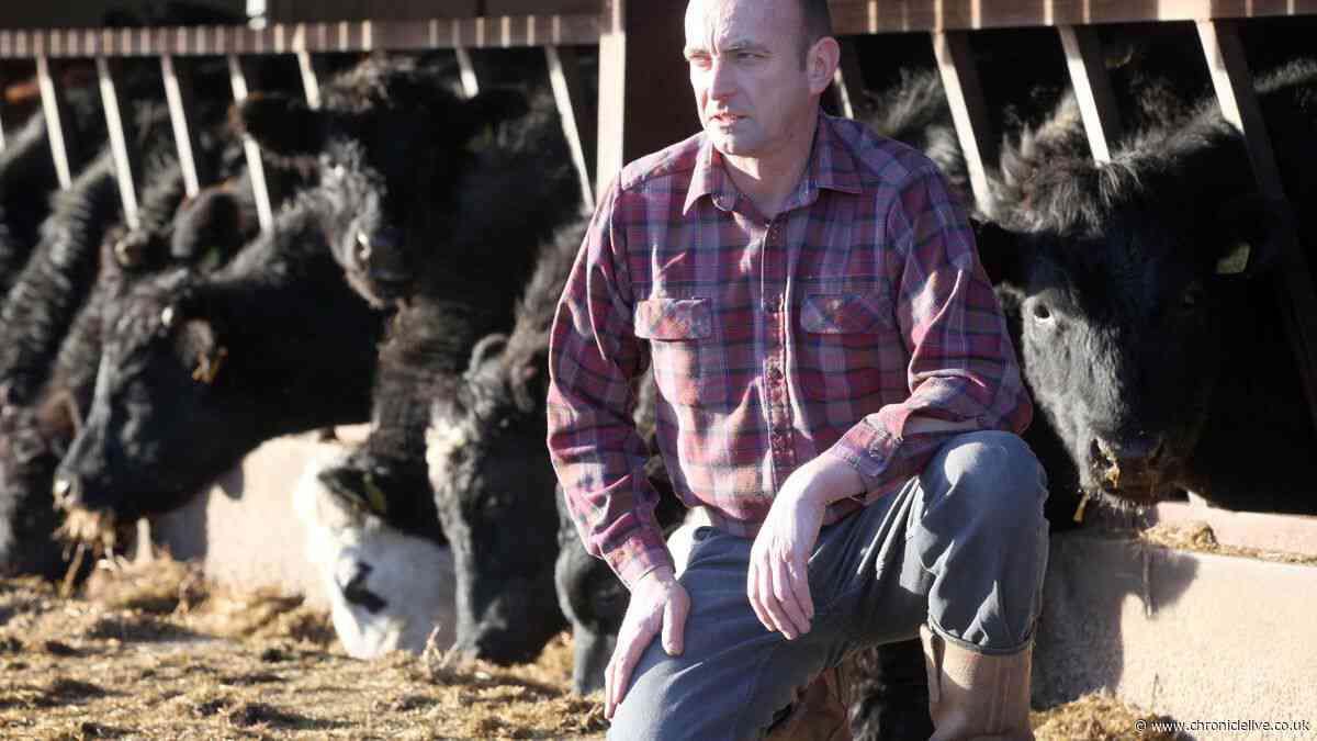 Northumberland reacts to Andy Burnham's £65m drought support funding for farmers