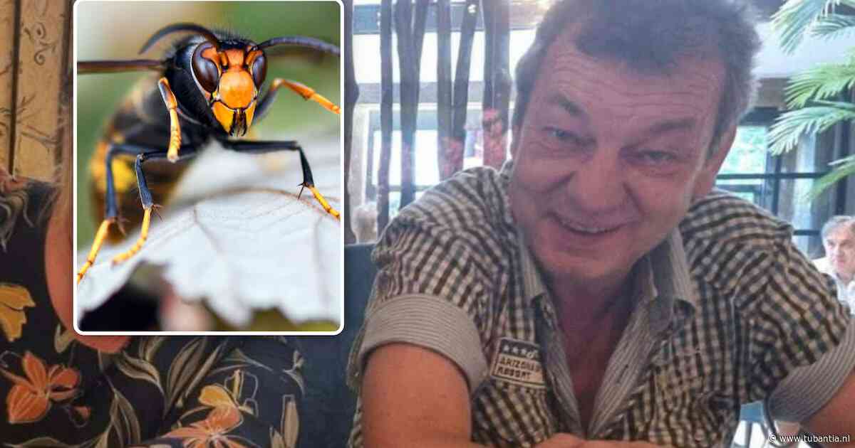 Belgische man (60) die na aanval door Aziatische hoornaars hersendood was verklaard, is in ziekenhuis overleden
