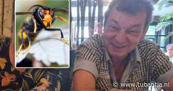 Belgische man (60) die na aanval door Aziatische hoornaars hersendood was verklaard, is in ziekenhuis overleden