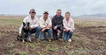 'A work in progress': this farming family says it's important to never stand still