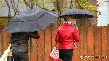 B.C.'s 1st 'fall storm' could bring 'onslaught' of rain to parts of coast: Environment Canada