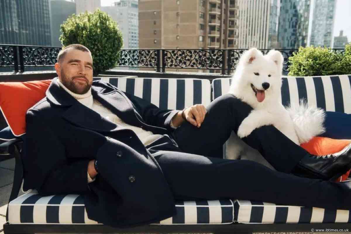 Taylor Swift and Travis Kelce's Dog Makes Surprise Modelling Debut Alongside NFL Star in Tommy Hilfiger Campaign