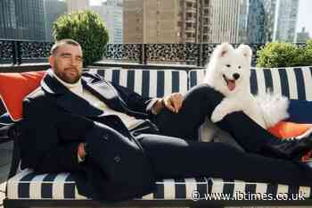 Taylor Swift and Travis Kelce's Dog Makes Surprise Modelling Debut Alongside NFL Star in Tommy Hilfiger Campaign