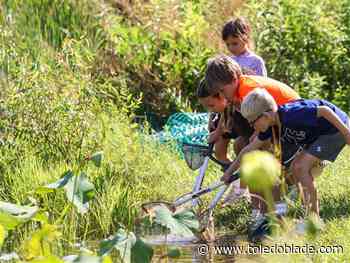 Friends of Wood County Parks' fall native plant sale set for Sept. 12