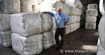 'Good business': rising demand, low numbers, put a floor in wool prices