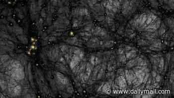 Has dark matter finally been found? Scientists may have spotted the first signs of elusive particles thought to make up 85% of the universe