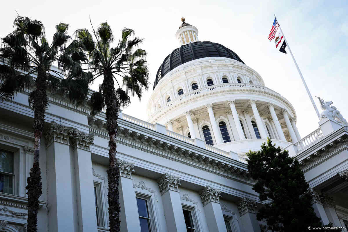 California Democrats pass more than 20 bills to curtail AI and social media