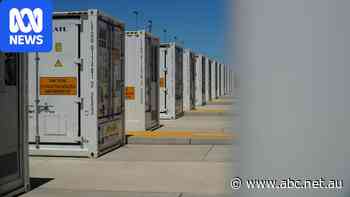 Big batteries' midnight power raid now in regulator's crosshairs