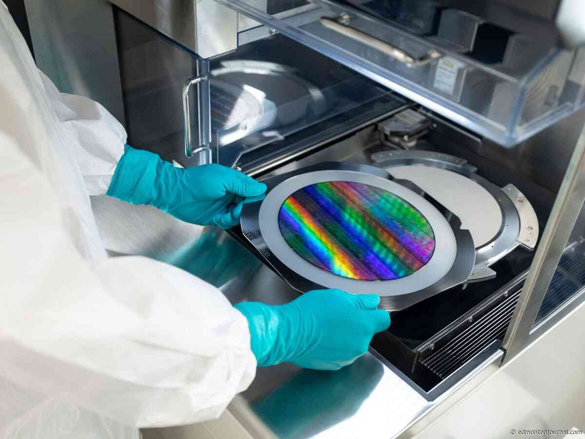 'Killer applications': Tech leader taps U of A researcher to take cancer research to the quantum realm
