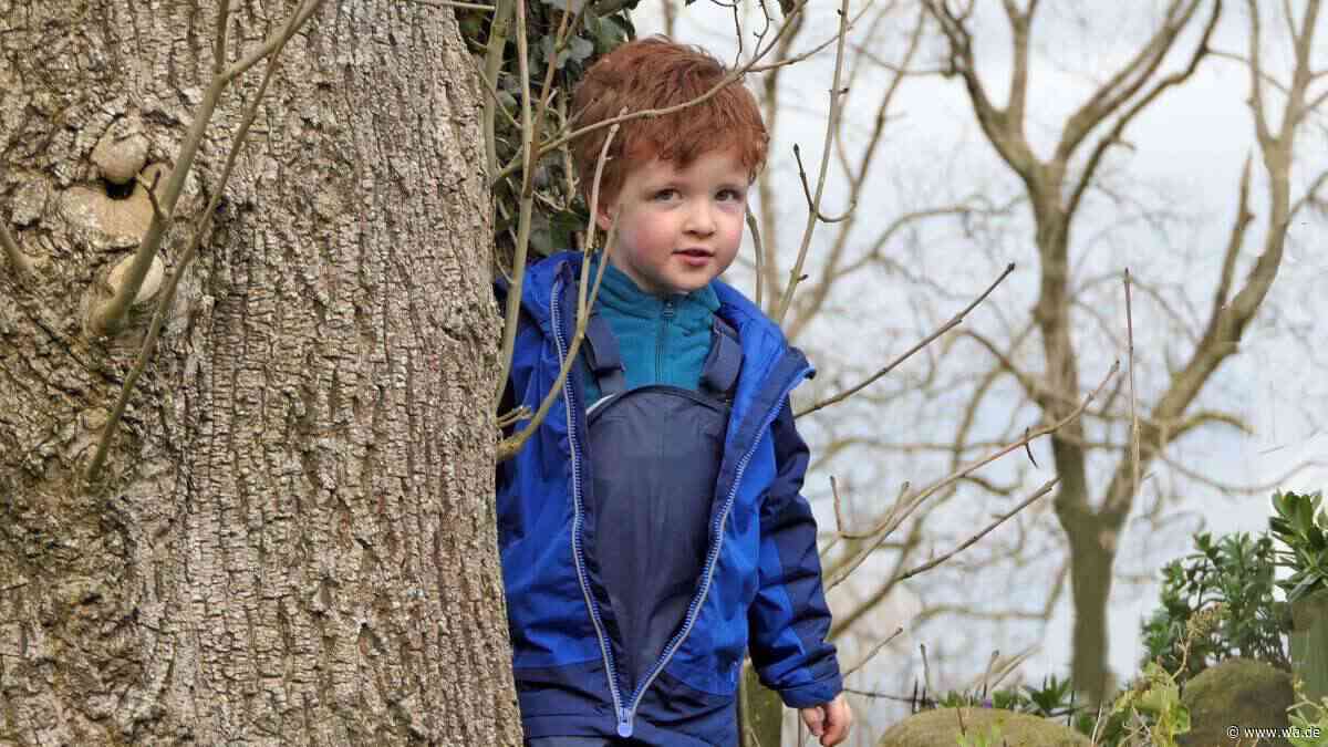 „Vielversprechendes“ Konzept an finnischen Kitas soll das Immunsystem der Kinder verbessern