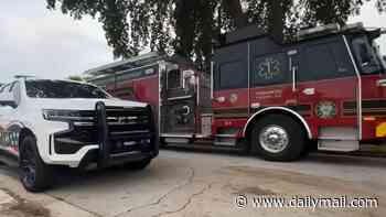 Horrified screams heard on 911 call moments after Florida mother and one of her two-year-old twin daughters were both struck and killed by lightning