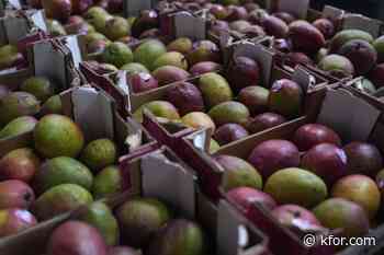 Mangoes recalled in 4 states over salmonella risk