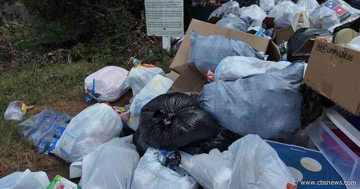 Riverdale townhome residents say yearslong garbage problem has left them searching for answers
