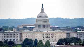 Man accused of bringing guillotine near Capitol posted plans before arrest