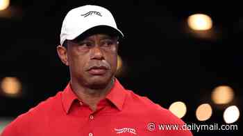Tiger Woods to change 'not guilty' plea in DUI case months after Florida rollover crash