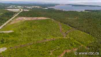 Saint John rezoning for industrial park was  'predetermined,' residents tell court