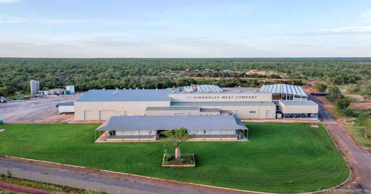 Worker visa processing delays halt long-awaited opening of northern abattoir