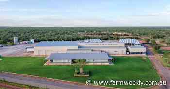 Worker visa processing delays halt long-awaited opening of northern abattoir