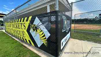 Rays community benefits plan could bring new investment to historic Yellow Jackets Little League