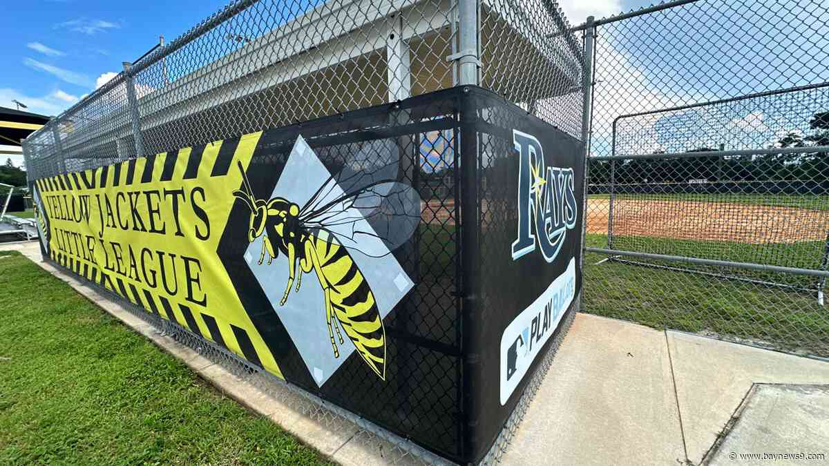 Rays community benefits plan could bring new investment to historic Yellow Jackets Little League