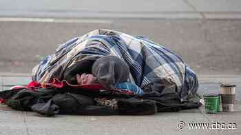 Report says up to 200 people 'rough sleeping' in Winnipeg sites other than encampments