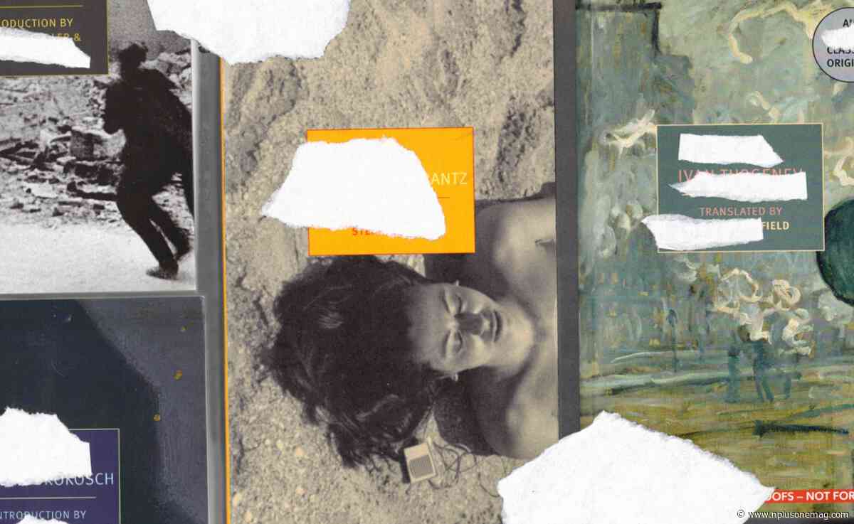 Babitz bubbles, Renata revivals, Hardwick hurricanes: How NYRB Classics built its name by resurrecting old and overlooked novelists