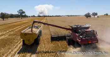 Another Black Sea wheat rally is here, but what does it mean for your grain?