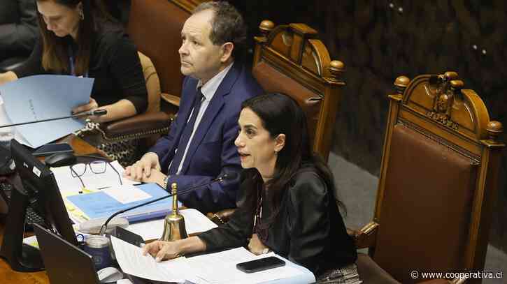 Por griterío en las tribunas, Senado postergó discusión sobre Sala Cuna