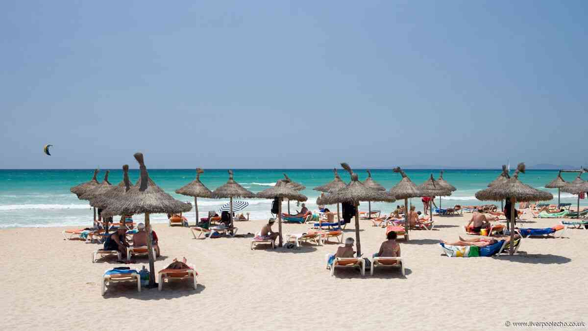 Beachgoers livid as popular spot charges £107 per day for using sunloungers