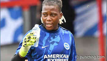 Nnadozie resumes Brighton duty