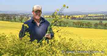 Canola is weeks ahead of schedule, but plenty can happen on the road to harvest