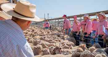 Global lamb market update: how Australia's competitive landscape is shifting