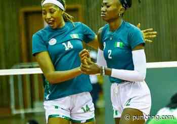 V’ball: Nigeria coach hails team spirit after DR Congo comeback