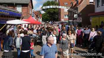 Riesen-Flohmarkt in Tostedt: Was Besucher unbedingt beachten sollten
