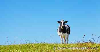 Grass-fed dairy: Ireland eyes Asia’s premium nutrition boom