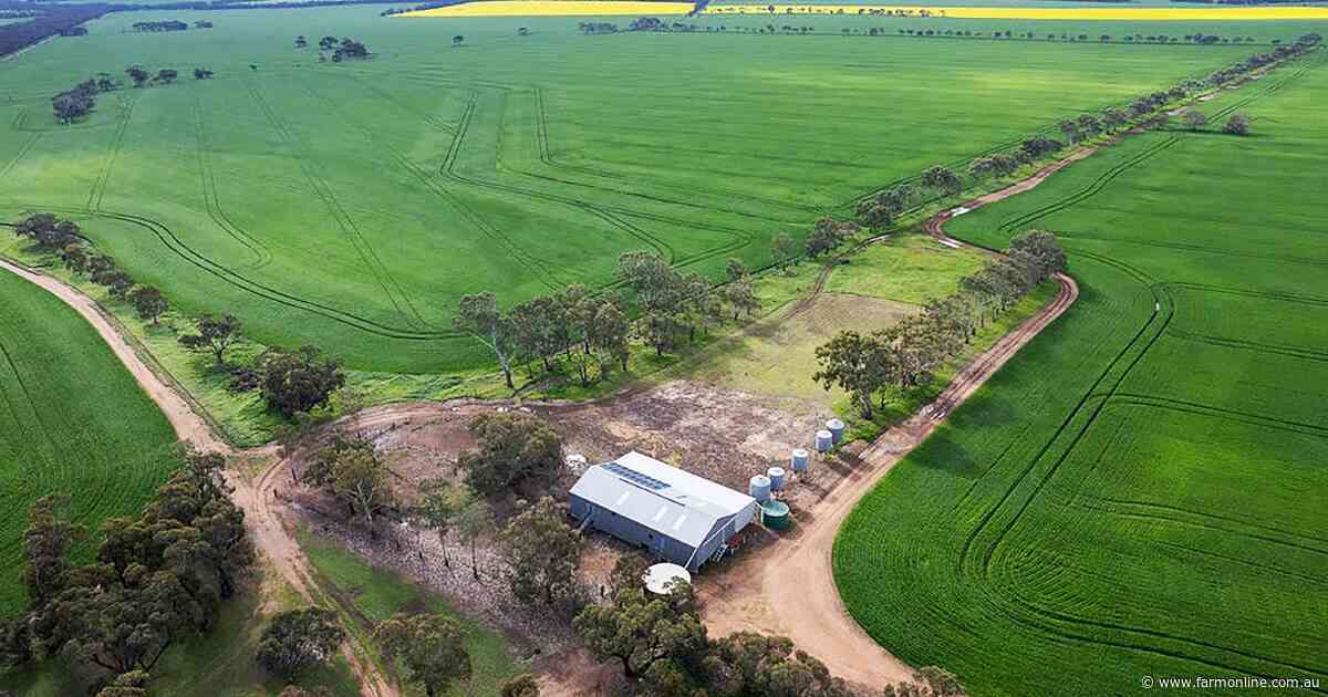 Sheehan and Wagner families are selling their SA cropping properties