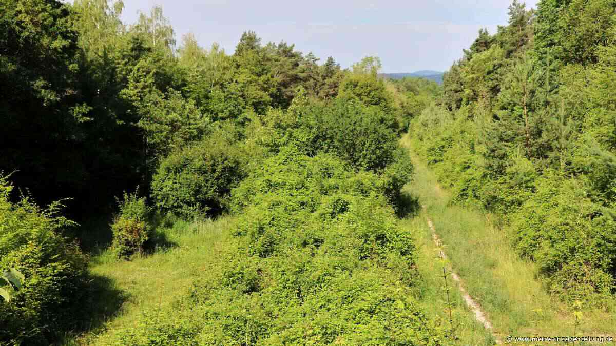 Vom Asphalt zur Natur: Wandern in den Hörselbergen