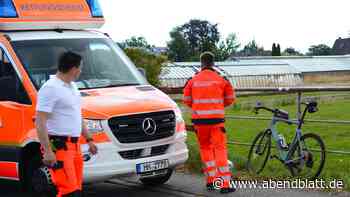 Unfall-Serie am Deich: Mit Rüttelstreifen gegen rücksichtslose Rennradfahrer