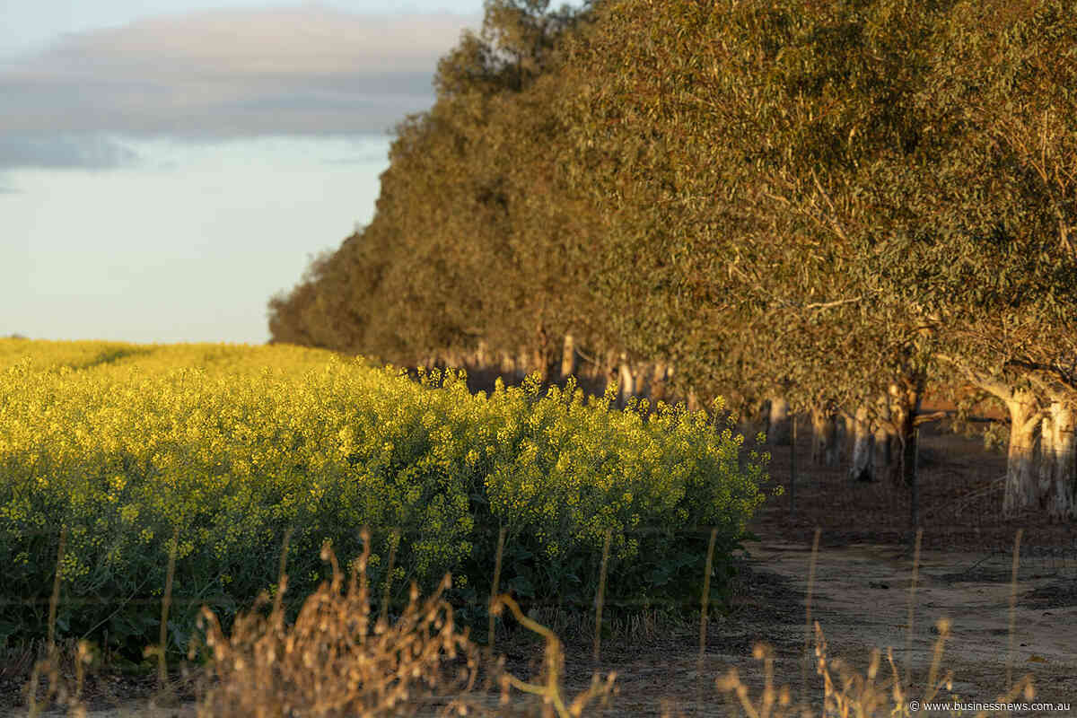 Agriculture worth $44bn to WA economy, Newdegate report finds