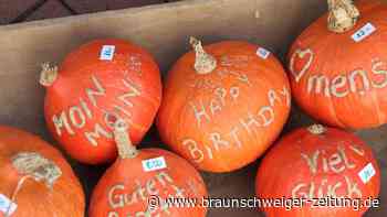 Das sind die Kürbisfeste im September und Oktober in der Region Braunschweig-Wolfsburg
