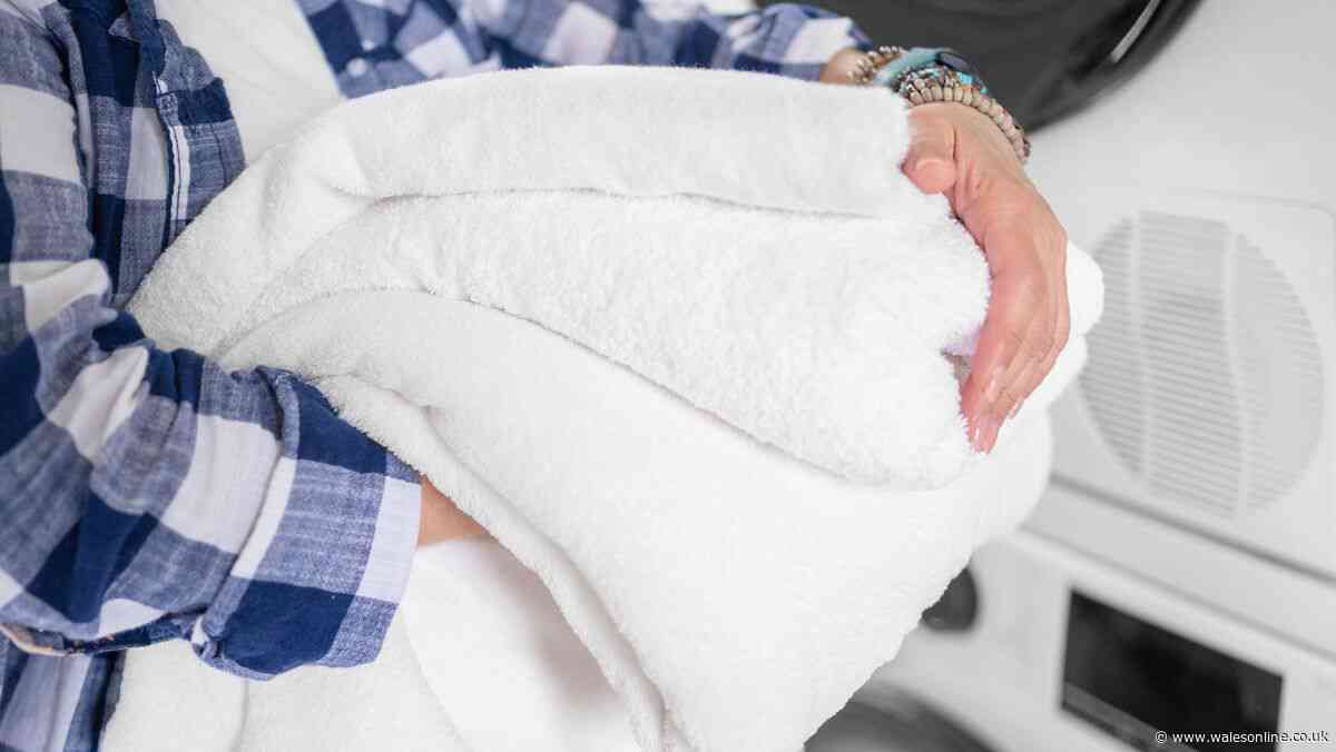 Exactly how often you should wash your towels - 'in Cardiff' it's different