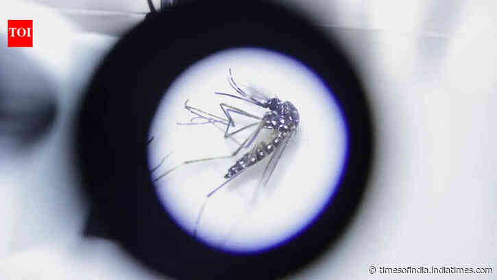 Northeast faces new vector threat as diseases spread to new areas: Health panel