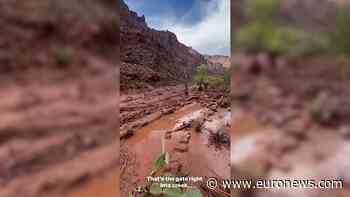 Flash flood hits Grand Canyon’s Phantom Ranch, more than 20 people missing